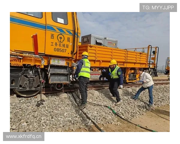 外物入场时裁判判罚标准解析，何时现场会被中断？