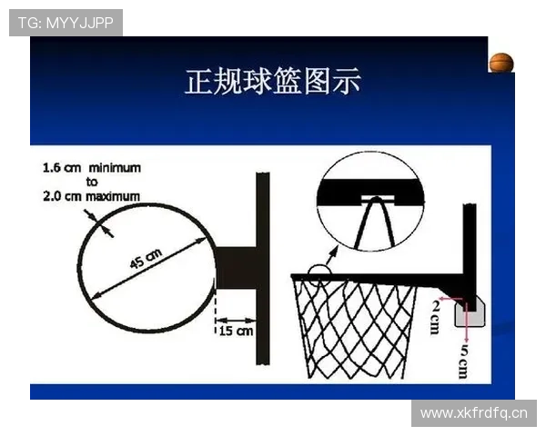 全面解读篮球后场规则，明确球回后场违例的具体判定标准